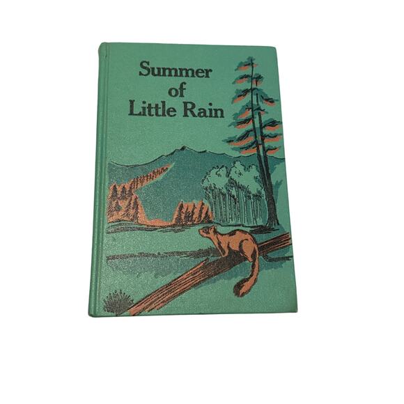 CLEARANCE [Vintage] 1961 Summer of Little Rain by Aileen Fisher Hardcover Book - Picture 1 of 4